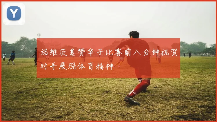 诺维茨基赞华子比赛前八分钟祝贺对手展现体育精神