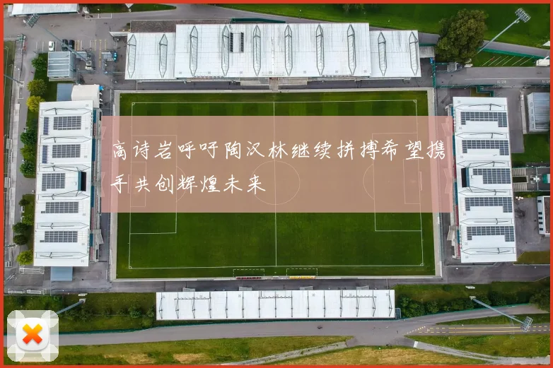 高诗岩呼吁陶汉林继续拼搏希望携手共创辉煌未来